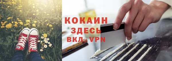 спайс Кулебаки