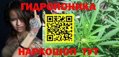 прущие грибы Кимры