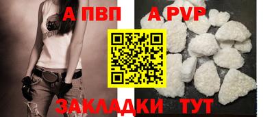 дживик Кингисепп