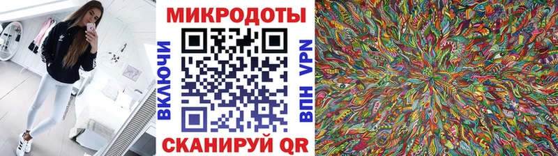 Галлюциногенные грибы Cubensis  купить закладку  Сокол 