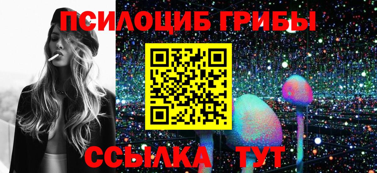 Сокол  Галлюциногенные грибы прущие грибы  Вход с VPN 