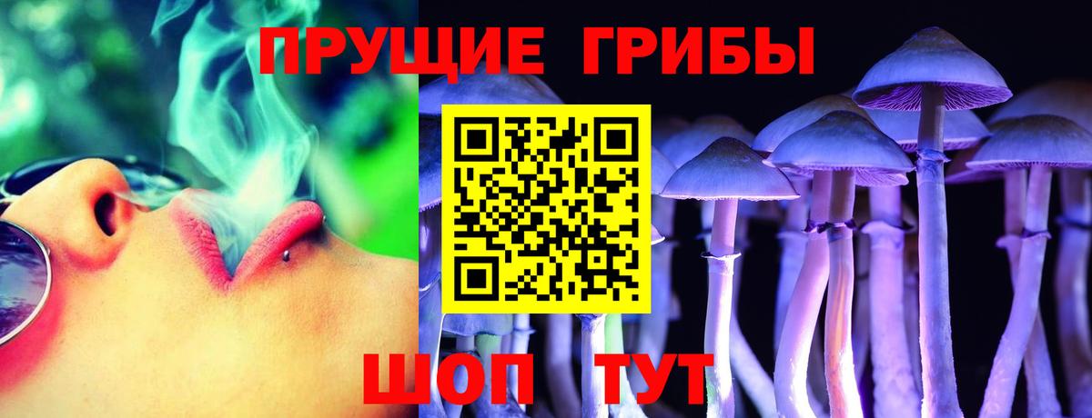 Псилоцибиновые грибы ЛСД Сокол